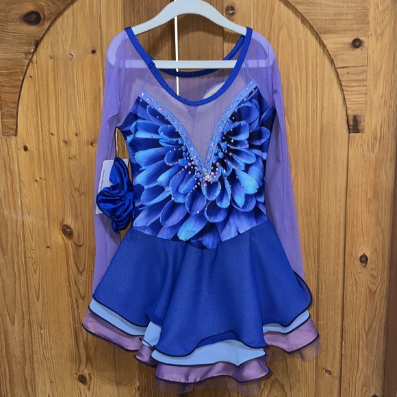New ElitExpression Flora Royal Beaded Figure Skating Dress - Size 10/12 - Picture 4 of 8